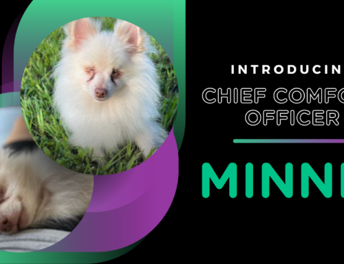 Welcome to the Pack, Minnie– Freestar’s First Chief Comfort Officer!