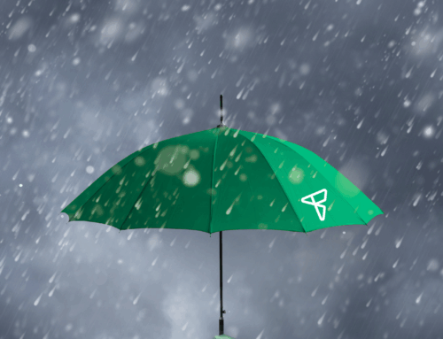 Weathering the Ad Tech Storm